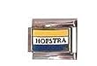 Hofstra Flying Dutchmen Charm NCAA College Athletics Fan Shop Sports Team Merchandise