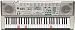 Casio Lk300Tvad Lighted Keyboard & Karaoke