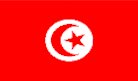 Tunisia Flag 5' x 3'