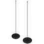 Sony WSIS10F Floor Stand for DAV-IS10 Speaker