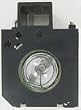 NEW PANASONIC PROJECTION TV DLP LAMP BULB TEEC0024-1