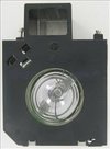 NEW PANASONIC PROJECTION TV DLP LAMP BULB TEEC0024-1