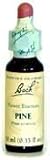  : Pine Tincture 20 ml