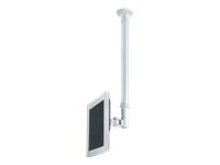 NewStar FPMA-C100  LCD Deckenhalterung (25 cm (10 Zoll) bis 65 cm (26 Zoll), Höhe 68 cm bis 108 cm) silber