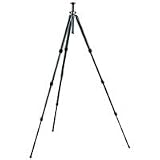 Cheap Gitzo GT2542L Series 2 6X Carbon Fiber 4-Section Tripod with G-Lock - Replaces GT2541L