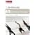 AS General Studies (Do Brilliantly at...)