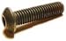 M5 X 12 BUTTON SOCKET CAP Box Qty. / 100 Image