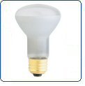 Replacement 100W R-20 Short Spa Flood Light 120V