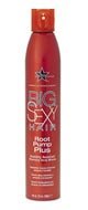 Big Sexy Hair Root Pump Plus Humidity Resistant Volumizing Spray Mousse 10.6 oz