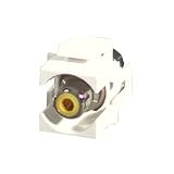 RCA YLW WHT SNP IN MOD