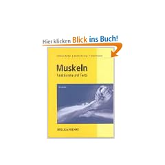 Muskeln: Funktionen und Tests