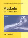 Muskeln: Funktionen und Tests