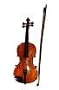 The Symphony of Life: From the Salesian Collection