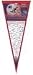 New England Patriots Super Bowl 39 Champions Signature Pennant