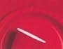 40" x 100" Real Red Plastic Table Covers (71027CON) Category: Party Tablecovers and Skirts