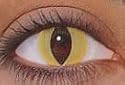 Yellow Cat Theatrical Contact Lenses /Non Prescription