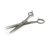 Sephora Brand Stainless Steel Shears