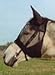 Sporting Goods : Cashel Quiet Ride Fly Mask Standard