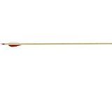 Martin Archery School Arrows 1/2 Gross 5/16 Spined 30-40# 24