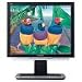 Viewsonic VX715 17 Zoll TFT Monitor DVI mit 16MS Reaktionszeit