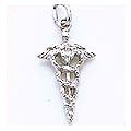 Caduceus Charm