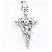 Caduceus Charm