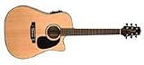 Takamine EG530SSC Dreadnought Cutaway Solid Top / Back Acoustic-Electric Guitar
