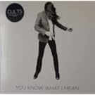 You Know What I Mean [VINYL]