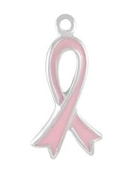 Sterling Silver Pink Enameled Breast Cancer Awareness Crossed Ribbon Charm