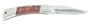 Stainless Steel Knife With Wooden Handle And Nylon Sheath 3.5"