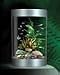 biUbe 9 Gallon Aquarium Kit - Black