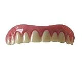 Dr. Baileys a Secure Smile - Medium to Large