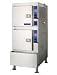 SteamCraft Gemini 10 Natural Gas Floor Model Steamer - 115 Volt