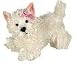 Webkinz: White Terrier