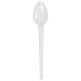 Lightweight Plastic Cutlery Teaspoon (Box quantity 100)