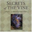 MUSIC... A WORSHIP EXPERIENCE (6 new songs: Secrets Of The Vine - Margaret Becker / Satisfied - Chris Tomlin / Awakening - Janna Long / Wonderful To Me - The Katinas / Love By Degree - Kim Hill / In Christ Alone - Adrienne Liesching & Geoff Moore