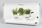 Sagaform Herb Pot Trio