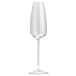 Rosenthal TAC 02 -  Champagne, 10 1/3, 9 2/3oz.