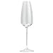 Rosenthal TAC 02 -  Champagne, 10 1/3", 9 2/3oz.