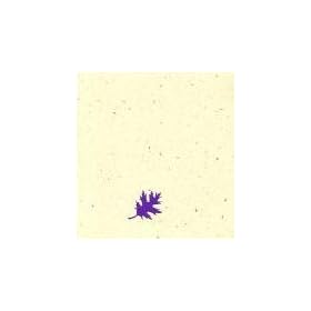 Greg Davis & Corey Fuller - Two Perspectives At Two Locations Along The Sumiyairi River In Naguri-mura, Saitama Prefecture, Japan - March 2nd, 2004 [Audio CD]