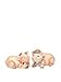 Appletree Design Barn Yard Pig Salt and Pepper Set, 2-Inch, 2-1/8-Inch