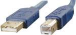 GE HO-97868 10' Maxspeed Gold USB 2.0 Device (GE HO97868)