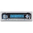 Pyramid CDR39M AM/FM CD/MP3 Player w/Detachable Front Panel