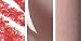 Beauty : Bare Escentuals Wearable Lip Kit ($40 Value) Wearable Rose