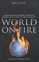 World on Fire: How Exporting Free Market Democracy Breeds Ethnic Hatred