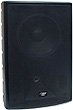 Pyle PDSM89 250 Watt Public Address Speaker (Pair)