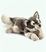 Yomiko Wolf Large