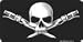 Biker Skull on Handlebars License Plate