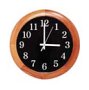 CSI/SPECO CVC-285RC B/W Clock Camera