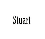 Clearly Charming Name Stuart Stainless Steel Text Numbers Types Italian Charm Link